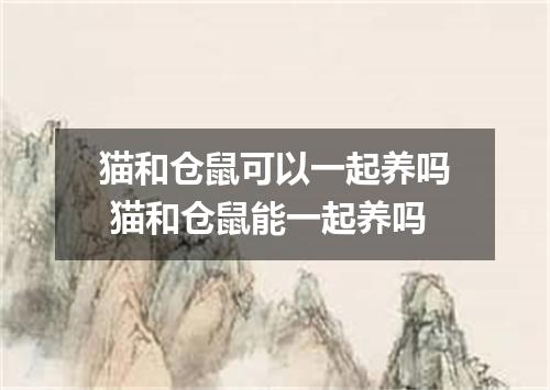 猫和仓鼠可以一起养吗 猫和仓鼠能一起养吗