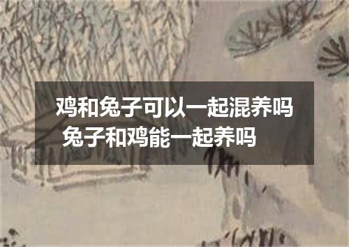 鸡和兔子可以一起混养吗 兔子和鸡能一起养吗