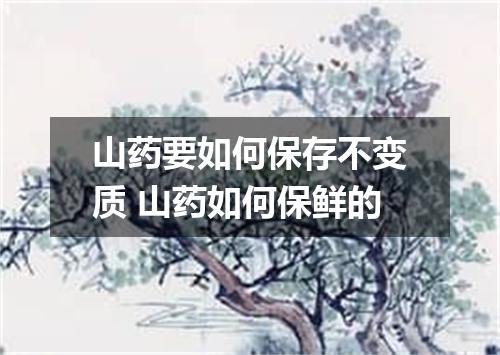 山药要如何保存不变质 山药如何保鲜的