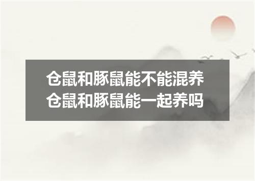 仓鼠和豚鼠能不能混养 仓鼠和豚鼠能一起养吗