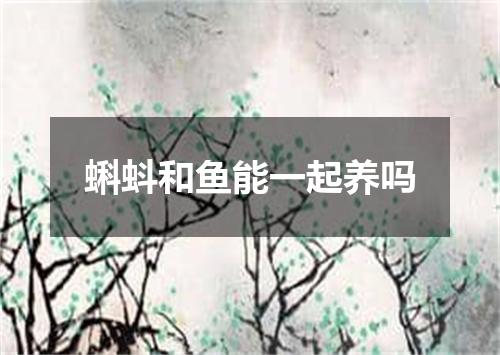 蝌蚪和鱼能一起养吗