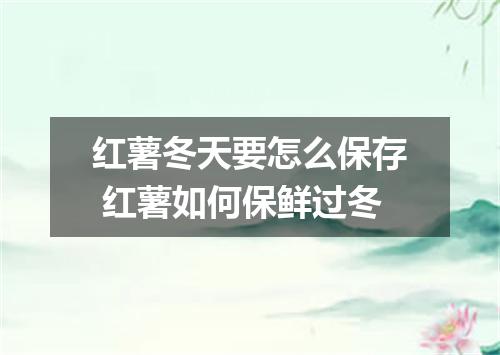 红薯冬天要怎么保存 红薯如何保鲜过冬