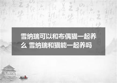 雪纳瑞可以和布偶猫一起养么 雪纳瑞和猫能一起养吗