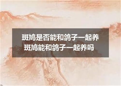 斑鸠是否能和鸽子一起养 斑鸠能和鸽子一起养吗