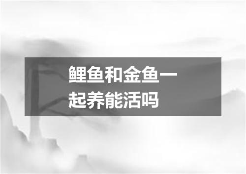 鲤鱼和金鱼一起养能活吗