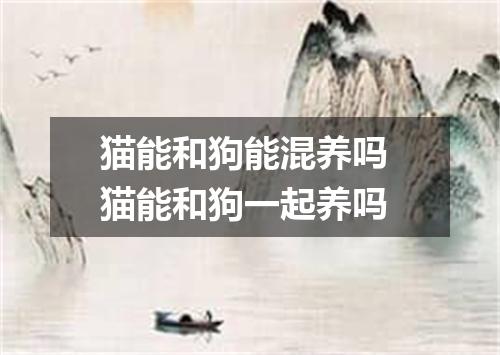 猫能和狗能混养吗 猫能和狗一起养吗