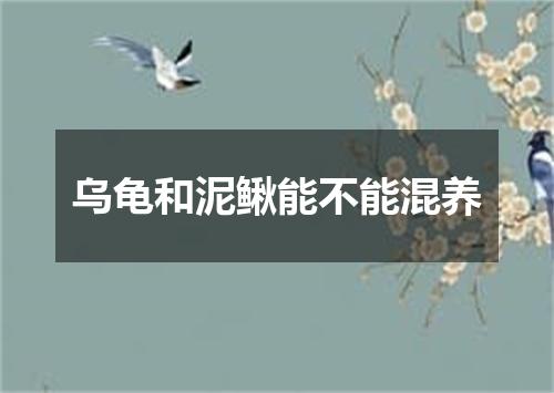 乌龟和泥鳅能不能混养