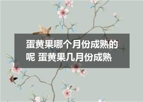 蛋黄果哪个月份成熟的呢 蛋黄果几月份成熟