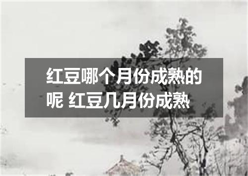 红豆哪个月份成熟的呢 红豆几月份成熟