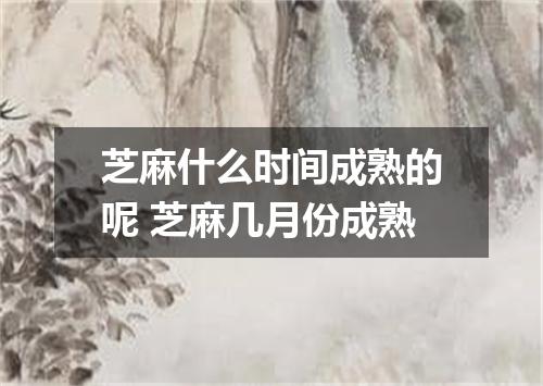 芝麻什么时间成熟的呢 芝麻几月份成熟