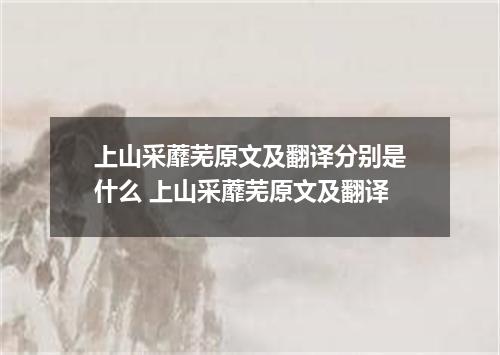 上山采蘼芜原文及翻译分别是什么 上山采蘼芜原文及翻译