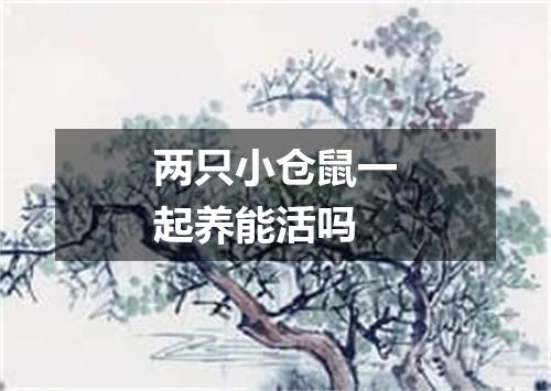 两只小仓鼠一起养能活吗