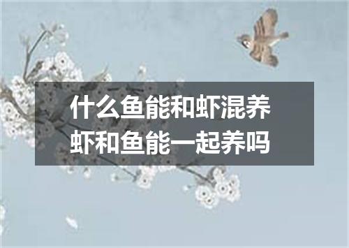 什么鱼能和虾混养 虾和鱼能一起养吗