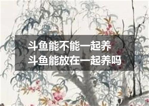 斗鱼能不能一起养 斗鱼能放在一起养吗