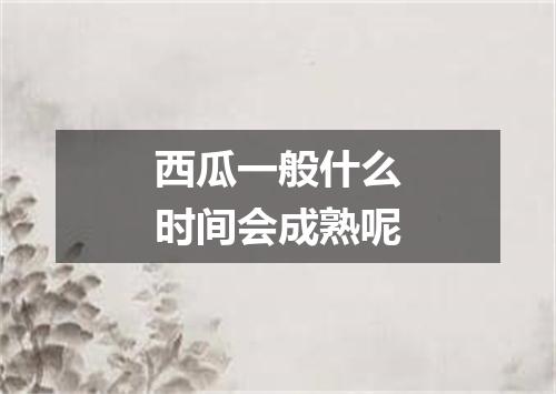 西瓜一般什么时间会成熟呢