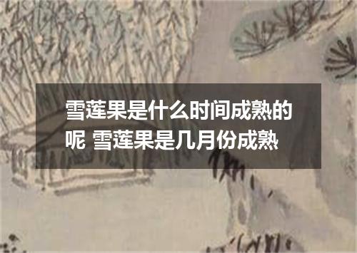 雪莲果是什么时间成熟的呢 雪莲果是几月份成熟