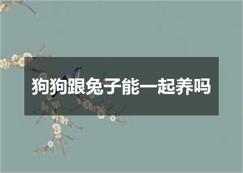 狗狗跟兔子能一起养吗