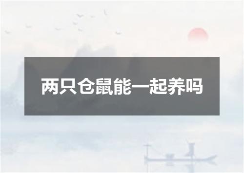 两只仓鼠能一起养吗