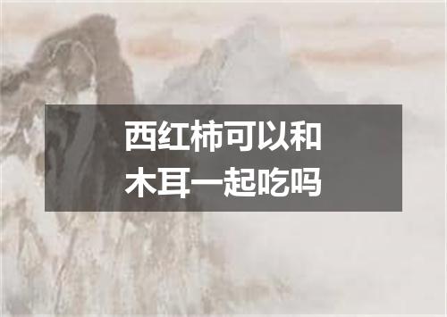 西红柿可以和木耳一起吃吗
