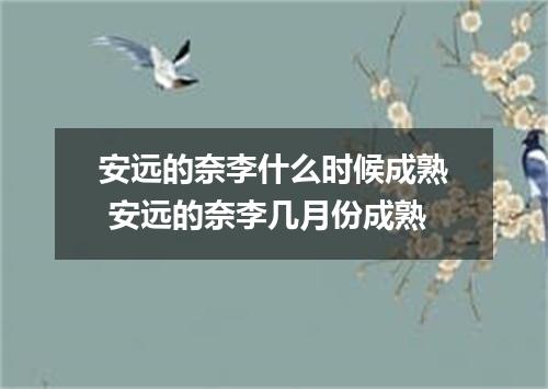 安远的奈李什么时候成熟 安远的奈李几月份成熟