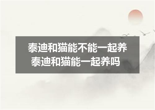 泰迪和猫能不能一起养 泰迪和猫能一起养吗