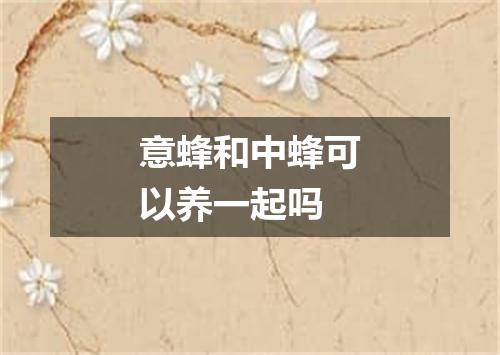 意蜂和中蜂可以养一起吗