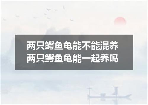 两只鳄鱼龟能不能混养 两只鳄鱼龟能一起养吗