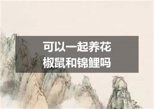 可以一起养花椒鼠和锦鲤吗