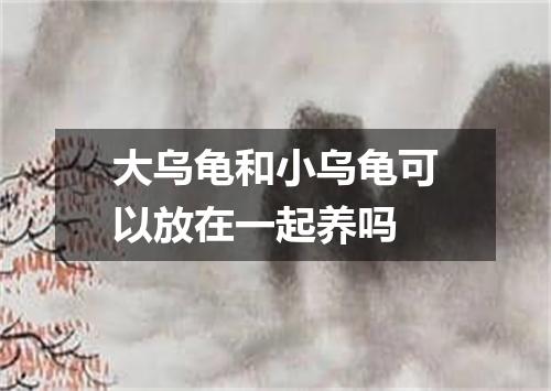 大乌龟和小乌龟可以放在一起养吗