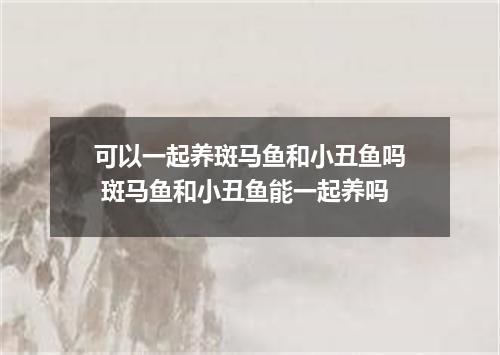 可以一起养斑马鱼和小丑鱼吗 斑马鱼和小丑鱼能一起养吗