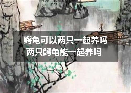 鳄龟可以两只一起养吗 两只鳄龟能一起养吗