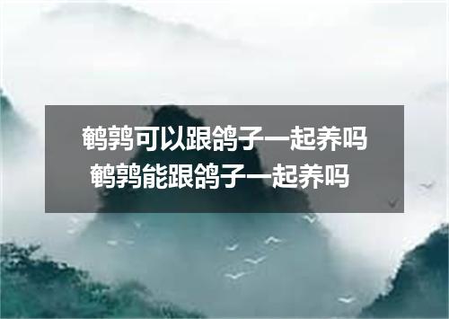 鹌鹑可以跟鸽子一起养吗 鹌鹑能跟鸽子一起养吗