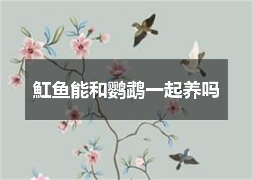 魟鱼能和鹦鹉一起养吗