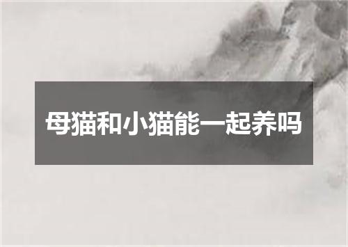 母猫和小猫能一起养吗