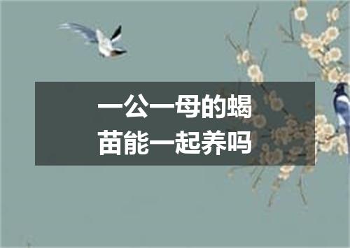 一公一母的蝎苗能一起养吗