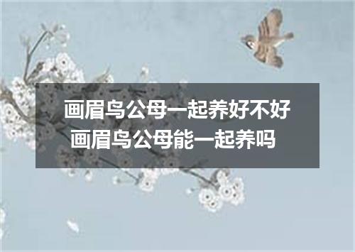画眉鸟公母一起养好不好 画眉鸟公母能一起养吗