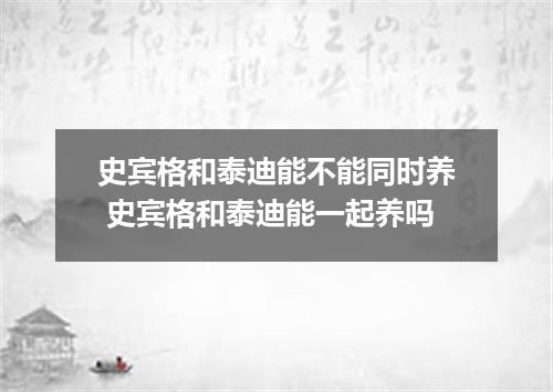 史宾格和泰迪能不能同时养 史宾格和泰迪能一起养吗