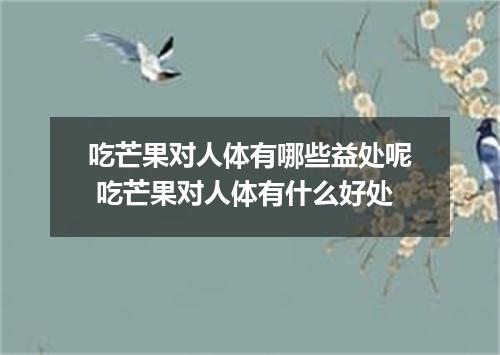 吃芒果对人体有哪些益处呢 吃芒果对人体有什么好处