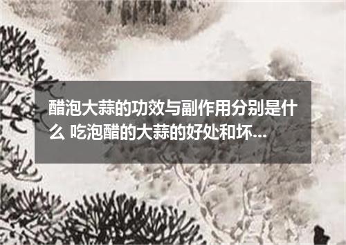 醋泡大蒜的功效与副作用分别是什么 吃泡醋的大蒜的好处和坏处