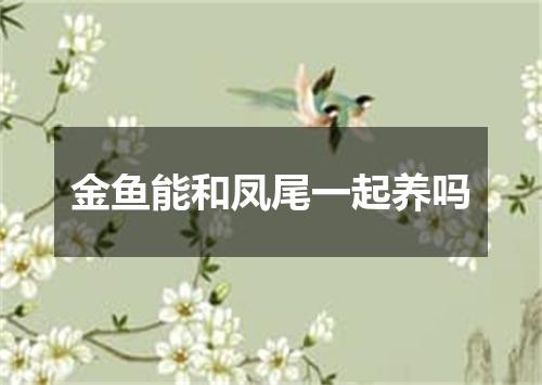 金鱼能和凤尾一起养吗