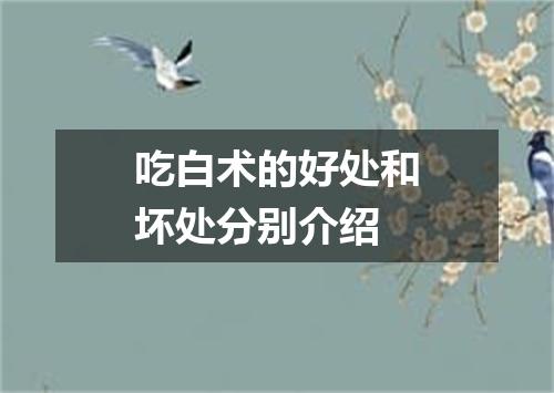 吃白术的好处和坏处分别介绍