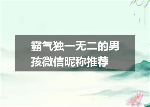 霸气独一无二的男孩微信昵称推荐