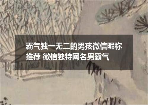 霸气独一无二的男孩微信昵称推荐 微信独特网名男霸气