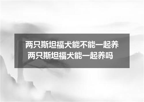 两只斯坦福犬能不能一起养 两只斯坦福犬能一起养吗
