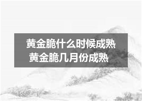 黄金脆什么时候成熟 黄金脆几月份成熟