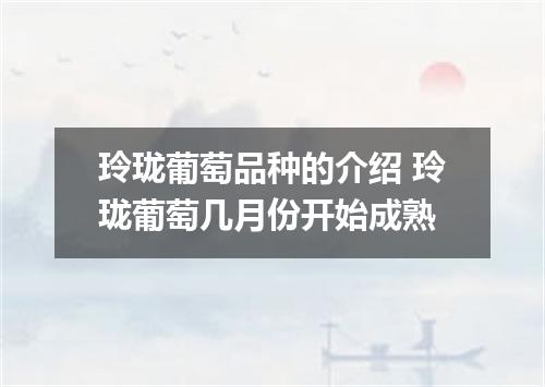 玲珑葡萄品种的介绍 玲珑葡萄几月份开始成熟