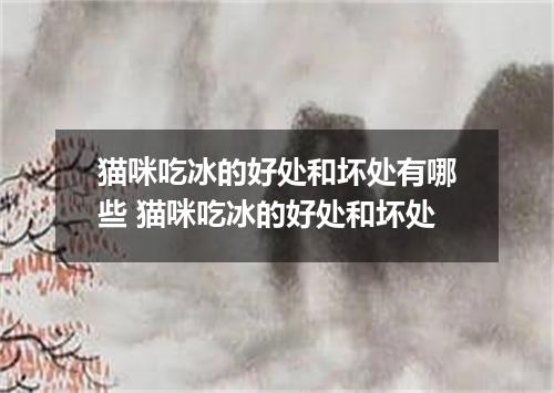 猫咪吃冰的好处和坏处有哪些 猫咪吃冰的好处和坏处