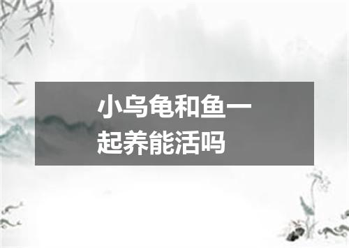 小乌龟和鱼一起养能活吗