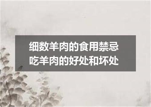 细数羊肉的食用禁忌 吃羊肉的好处和坏处