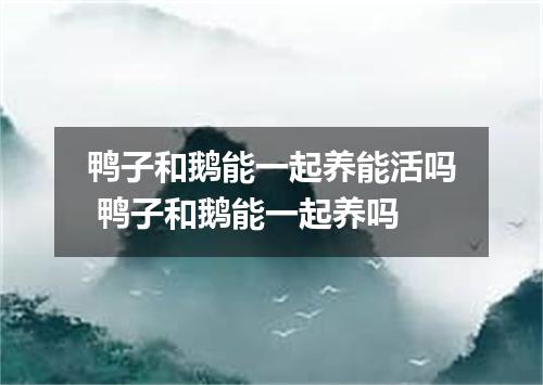 鸭子和鹅能一起养能活吗 鸭子和鹅能一起养吗